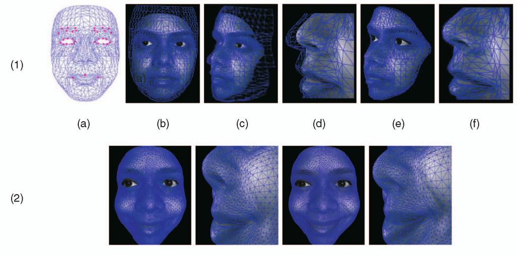 HUANG ET AL.: SHAPE REGISTRATION IN IMPLICIT SPACES USING INFORMATION THEORY AND FREE FORM DEFORMATIONS 1315 Fig. 14. Application to facial expression tracking using 3D dynamic face range scan data.