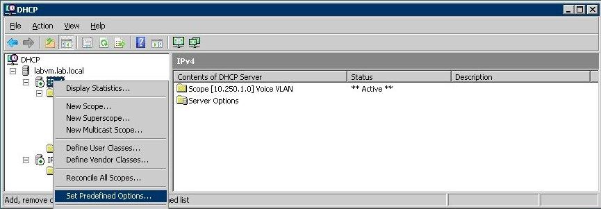 Option 160 Option 160 is the default record used by the SIP Soft Phone to find the provisioning server. It is the only DHCP record required for the SIP Soft Phone.