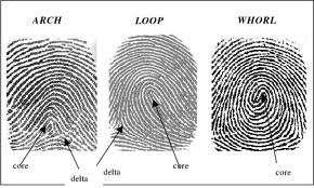 A.T. Gowthami and H.R. Mamatha / Procedia Computer Science 58 ( 2015 ) 552 557 553 permanency of fingerprints are main motive to choose among all biometric forms for identification of an individual.