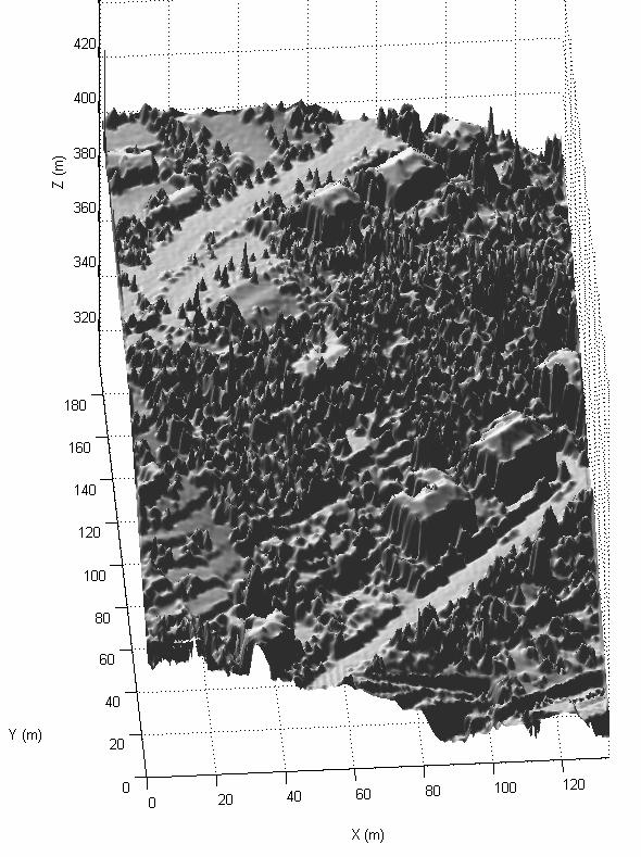 (a) (b) C1 O2 C3 C4 C2 O1 (c) (d) Figure 10. Shaded relief maps of landscape models.