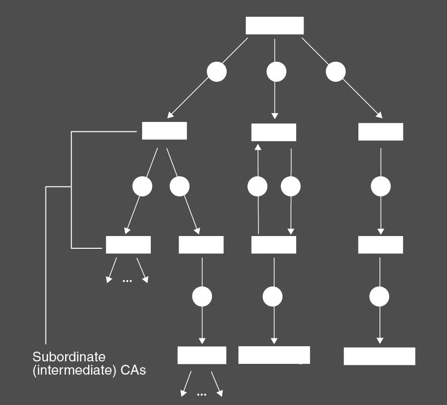 This way, certificate chains are formed starting from the Root CA certificate down to the individual end entities that form the nodes of the tree.