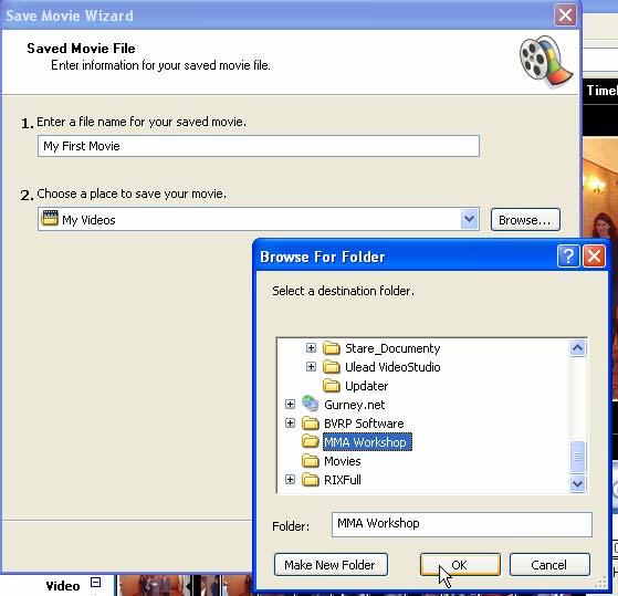 Select File menu and select Save Movie File or use Ctrl +P 5.