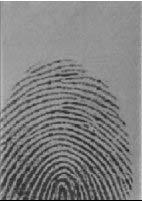 When enrolling, pay special attention to your fingerprint position on the sensor.
