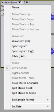 Tracks Tracks are a linear representation of the sounds in your project. The illustration below shows a single stereo track in Audacity. Notice that there are two waveforms.