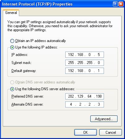 Select the Use the following IP address and Use the following DNS options.