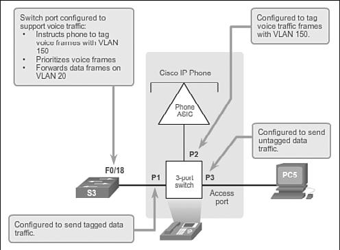 104 Routing and Switching Essentials Companion Guide Figure 3-12 Voice VLAN Tagging The Cisco IP phone contains an integrated three-port 10/100 switch.