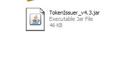 Unzip the TokenIssuer.zip file and run TokenIssuer.