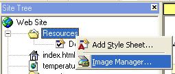 Adding an Image to a Web Page The Web Site plug-in allows you to add images to the Web pages. The images must be.jpg or.gif format and less than 150 KB.