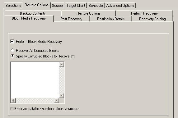 100 Chapter 6 Restore Time Based - For a time-based point-in-time recovery, select this option, and set the date and time in the fields provided.