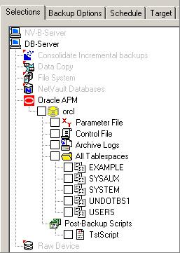 63 Figure 5-3: The Oracle APM node opened to display items available for inclusion in an RMAN backup job otherwise the Parameter File name will be displayed when the Parameter File node is expanded.