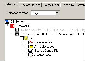 79 6.2.2 Phase 2: Selecting Data for a Restore Figure 6-1: A User Managed backup saveset opened for restore 1.