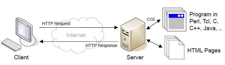 COMMON GATEWAY INTERFACE (CGI) CGI was the first server-side processing solution.
