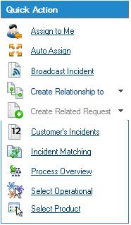 Customer s Incidents Once you select the Customer, the Customer s Incidents entry in the Quick Action section will display the number of open Incidents related to the Customer.