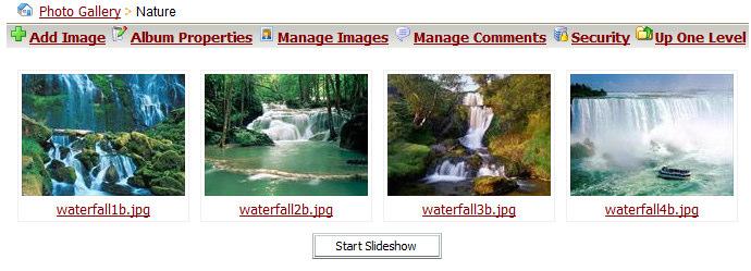 To upload an image click on Browse, select the image you desire, click OPEN, and Click on Upload Image(s) to publish them into your online album.