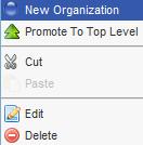 Once you have created your organization hierarchy, you now have more options when you click on an organization unit: New Organization: adds an organization unit directly under the current choice