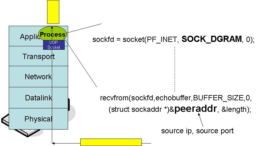 Preview of UDP Sockets Functions UDP Sockets Interfaces between application layer and UDP transport layer Using socket() to a