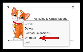15 Using recovery checkpoints in the Classic Design Editor As you make changes to your email, Oracle Eloqua saves local copies on your computer that are called Recovery Checkpoints.