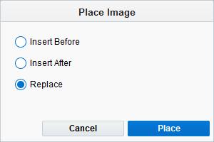 Select an option in the Place Image dialog box. You have the following options: Insert Before: The new image is added to the left of (or above) the original.