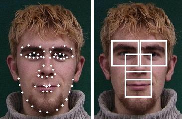 6 KAZEMI, SULLIVAN: FACE ALIGNMENT WITH PART-BASED MODELING (a) with parts (b) without parts Figure 3: This figure shows the effect of adding noise to the location of the patches used in training on