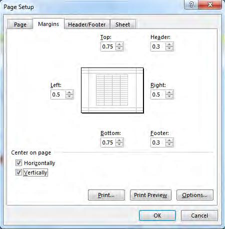 In the Left: field of the Page Setup window, click the down arrow to 0.5 In the Right: window, click the down arrow to 0.