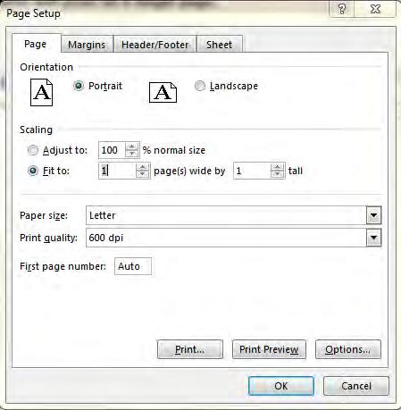 Step 28 Specify worksheet will print on a single page.