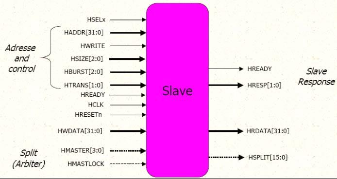 AMBA AHB Slave Responds to a read and write operation within a given address-space range.