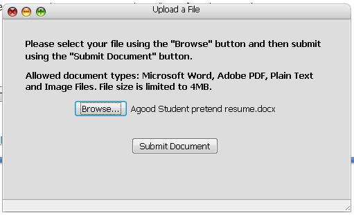 Now the name of your document will show next to the Browse button.