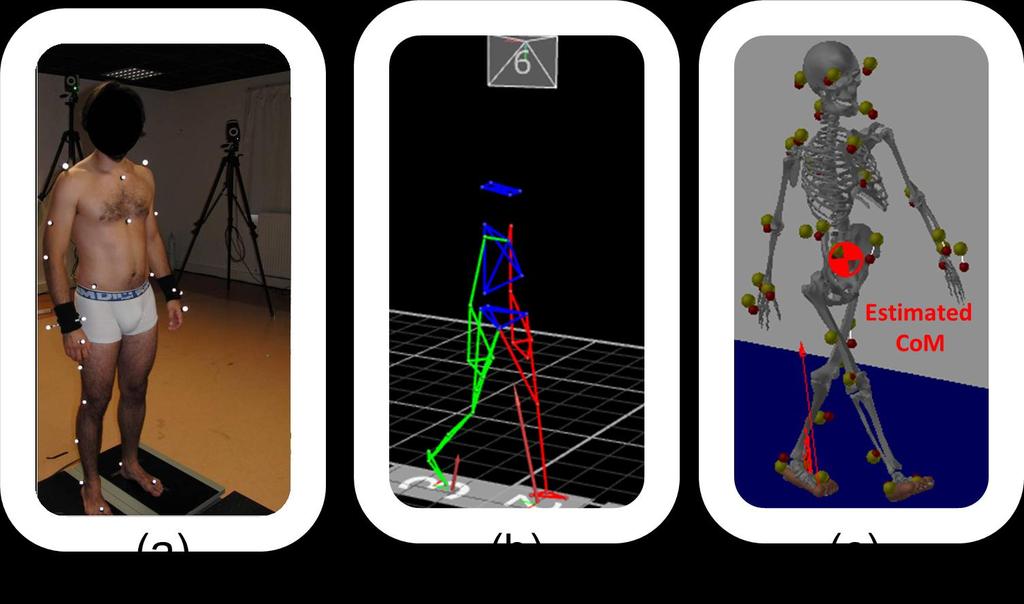 Motion Capture system Study: 15 Subjects Different walking speed 35 markers using Plug-in