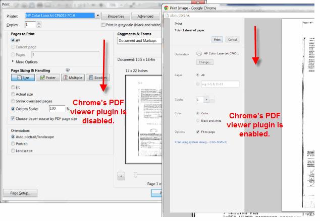 Figure 2 This example shows the Chrome browser with the PDF viewer