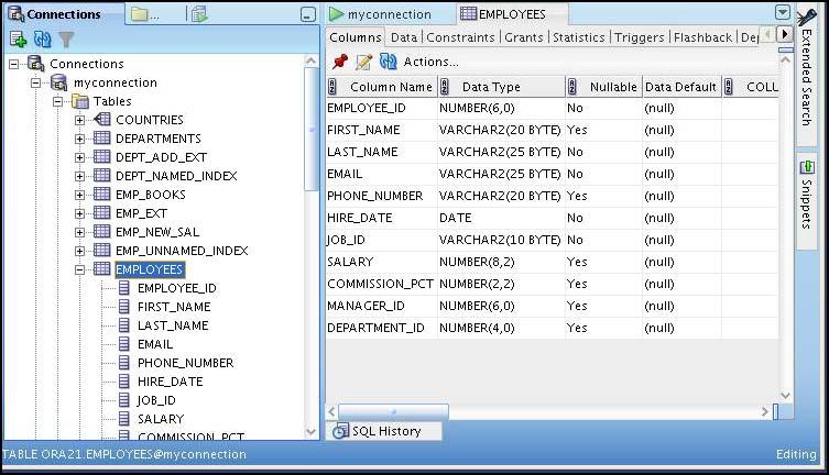 Browsing Database Objects Use the Connections Navigator to: Browse through many objects in a database schema Review the definitions of objects at a glance Browsing Database Objects After you create a
