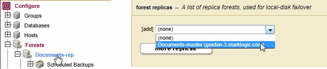 Navigate to the Forests configuration page for the Documents database.