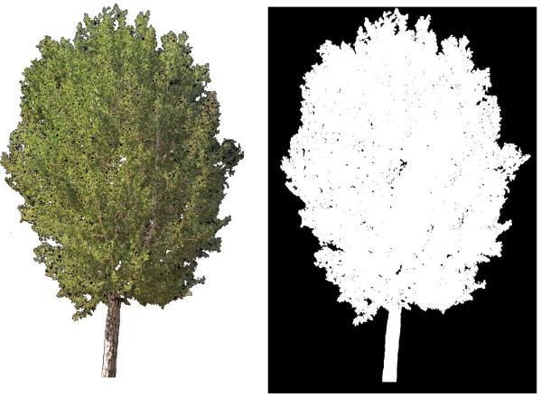 Opacity Maps Previous versions of AutoCAD included landscape objects such as trees and people.