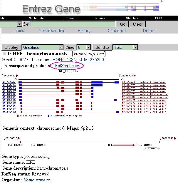 Human HFE Gene, Graphic Display Bi03c_23 high resolution Human HFE