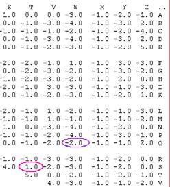 Interpreting BLAST alignment Bi03c_33 data: blosum62.