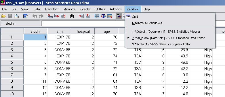 Windows in SPSS Open windows are shown