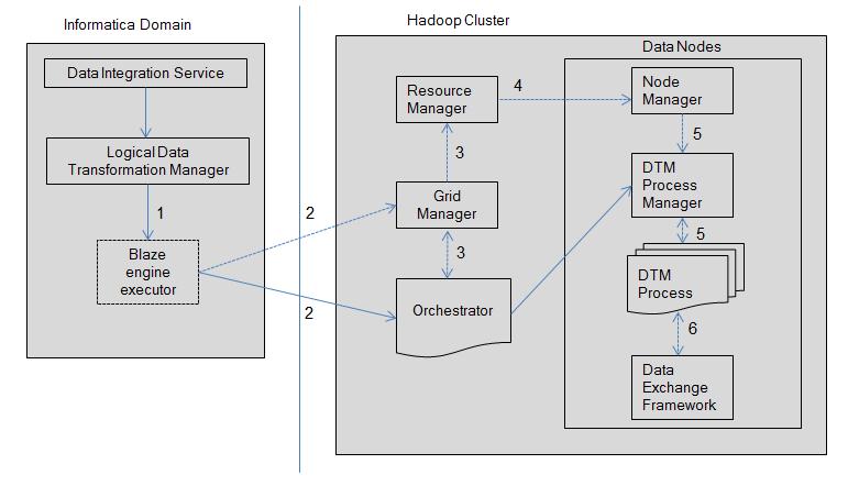 Big Data Management Engines When you run a big data mapping, you can choose the environment to run the mapping in, native environment or Hadoop environment.