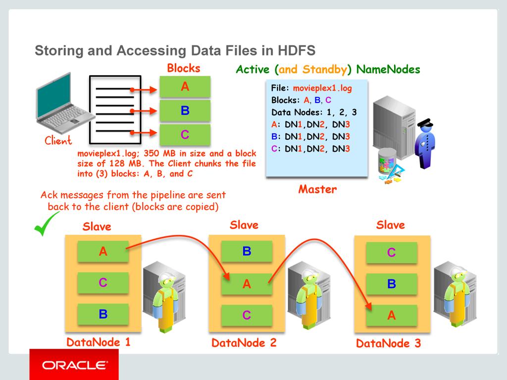 HDFS supports the capability to create data pipelines. A data pipeline is a connection between multiple DataNodes that exists to support the movement of data across the servers in the Hadoop cluster.