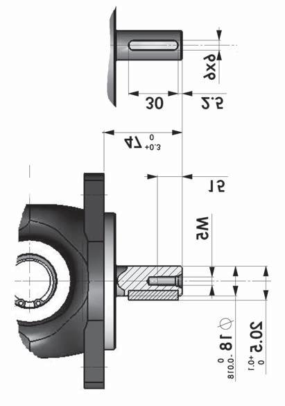 MOUNTING FLANGE and SHAFT OPTIONS SHAFT Parallel