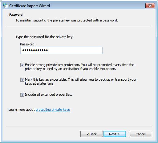 Figure 43: Entering the password and setting the import options when importing a personal certificate into the Microsoft