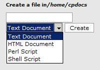 4 Click on the drop-box containing the words Text Document and select the type of file you wish to create: 5 Click on the box marked Create.