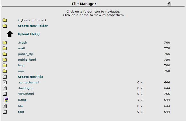 Viewing a file's contents You can use the File Manager to view the text inside a text or script file, or to view the image from an image file by using