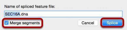 If desired, adjust the file name of the new sequence.
