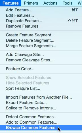 Import the Custom Features To import a list of custom features, your