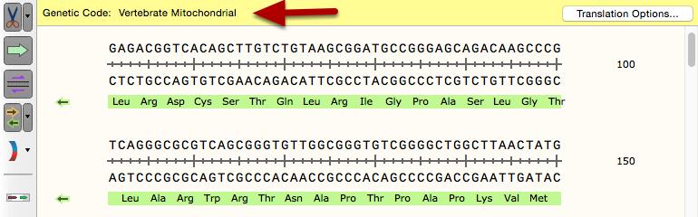 View the Updated Translation The updated genetic code will now be used in