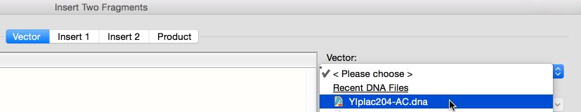 Insert [N] Fragments.... Specify the Vector File Choose the vector file from the Vector: menu.