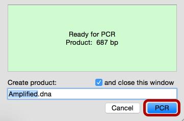 Name the Product When you are ready to simulate PCR, type the name of the product, then click PCR.