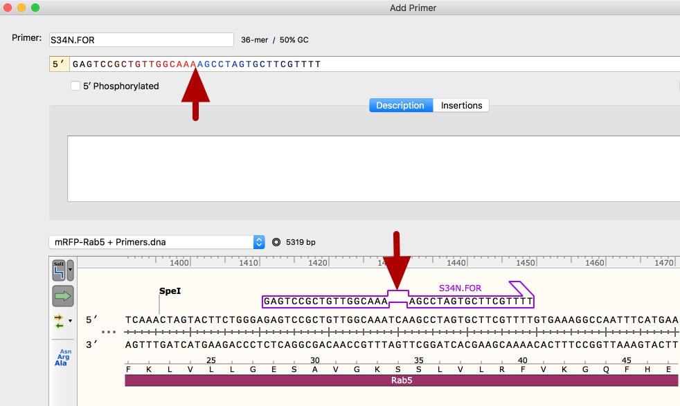 Choose the Mutagenesis Site Choose the mutagenesis site in the text box. For a deletion or replacement, select the relevant bases. For an insertion, click to place a cursor between the flanking bases.
