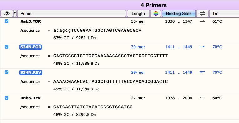 Export the Primer Data To export the mutagenic primers, switch to Primers view.