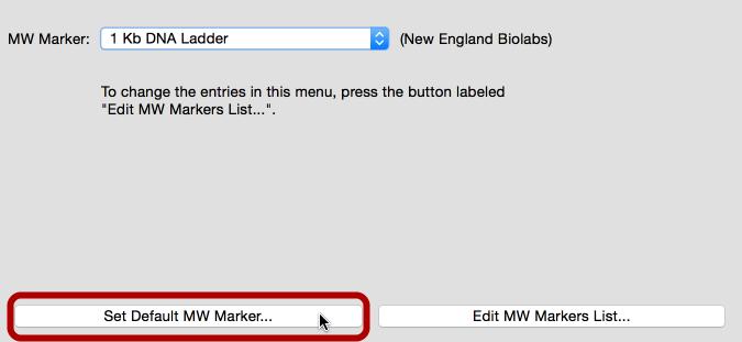 Set the Default MW marker How do I set the MW marker? Select the MW Marker Lane To select the MW Marker lane, click "MW" above the gel.