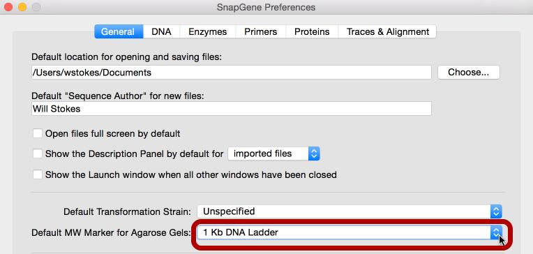 In the SnapGene Preferences dialog General tab, expand the Default MW Marker for